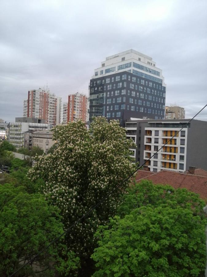 Caviar Apartment Beograd Ngoại thất bức ảnh